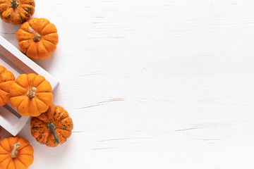 Small decorative pumpkins on white wooden background. Autumn, fall, thanksgiving or halloween day concept, flat lay, top view, copy space