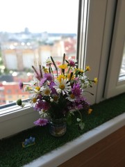 Fototapeta na wymiar Adorable bouquet of wildflowers on a windowsill. side view