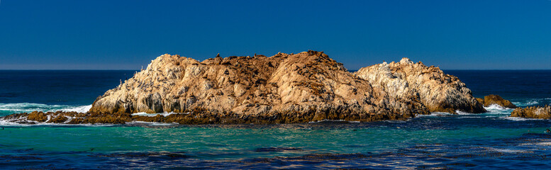 Seal Rock