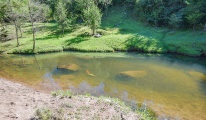 arroyo