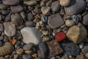 Close up of wet beach stones