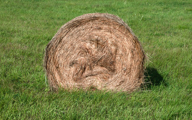 Haystack on the green field.