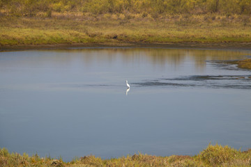 algarve