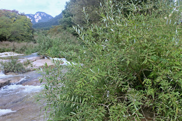 도랑에 흐르는 물