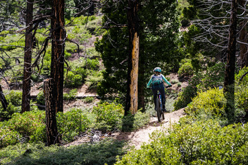 Naklejka na ściany i meble female mountain biker riding through the woods