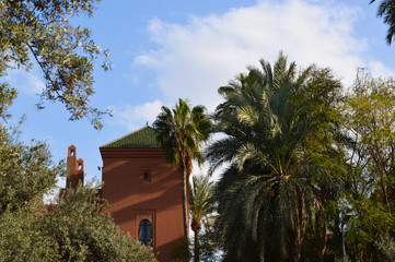Fototapeta na wymiar house with palm tree