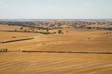 villanueva del fresno