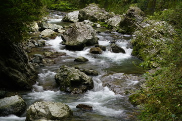 清流の流れ
