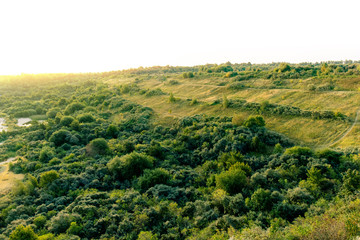 top view of a hillside with trees and shrubs in the orange rays of the rising sun
