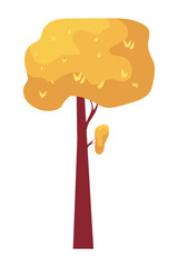 autumn plant seasonal isolated icon