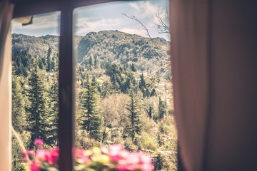 Naturaleza