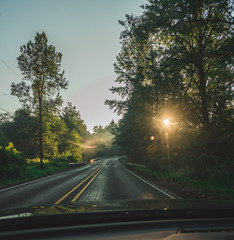 highway in the morning thought the forest . sunrise 