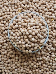 Korea's fresh organic beans, Cicer arietinum