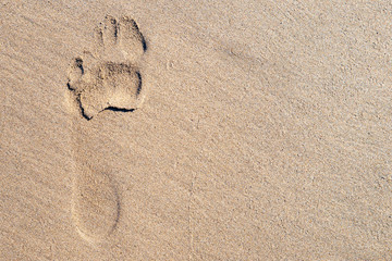 Fototapeta na wymiar Footprint In Sand
