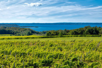 Old Mission Peninsula 