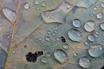 風が吹き、雨上がり