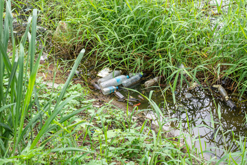 Plastic pollution in water pond environment