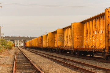 Fototapeta premium Cargo Train