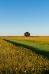 Vintage barn in the Midwest