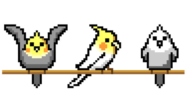 Cockatiel pixel art illustration set