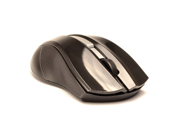 computer mouse on a white background
