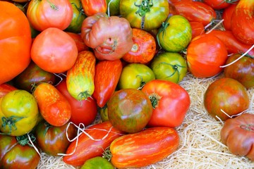 Crate of colorful organic heirloom tomatoes at the farmers market