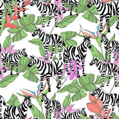 Vector Exotic zebra print wild animal isolated. Black and white engraved ink art. Seamless background pattern.