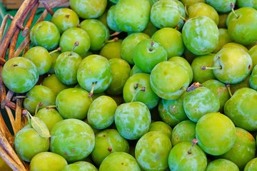 Basket of green gage plums (reine claude) at a farmers market