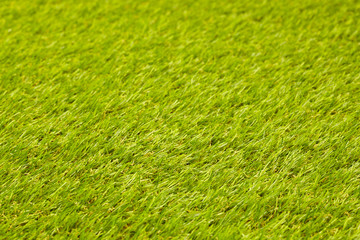 green grass texture background