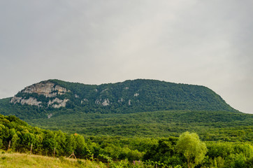 In summer, the mountains are covered with dense forest.