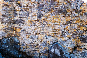 walls fence concrete