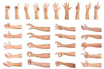 Foto op Canvas set of human hands isolated on white background © Suraphol