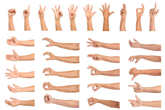 set of human hands isolated on white background