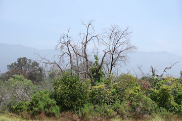 Obraz premium Wild landscape around a lake in the southern California coastal region located between the ocean and the mountains