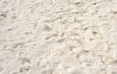 texture of sea sand