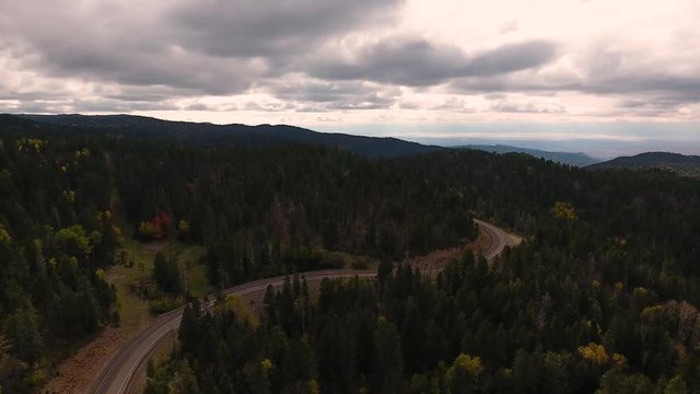 Aerial view of road stretching through leaves changing in the forest.