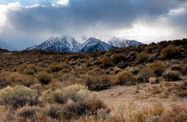 landscape in the Eastern Sierra mountains and dry desert near Bishop California