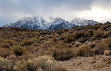 landscape with snow mountain and dry desert in California