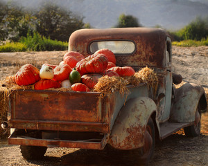 Old rusty truck full of fall pumpkins - Powered by Adobe
