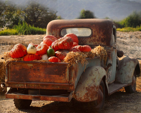 Old Rusty Truck Full Of Fall Pumpkins