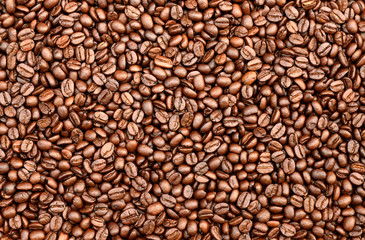 coffee beans background