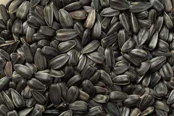 organic sunflower seed for background uses