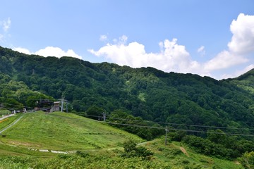 Fototapeta na wymiar 夏の湯沢高原 大峰山