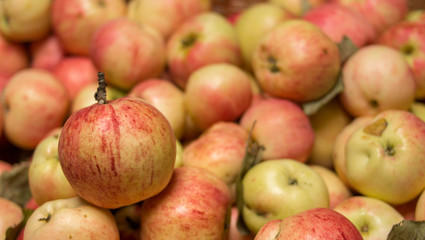 Top view of freshly picked red apples. Harvest concept.