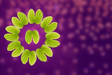 Dussehra greeting card using apta / Bauhinia racemosa