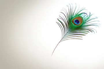 Rucksack peacock feather on white background with copy space © chayanit