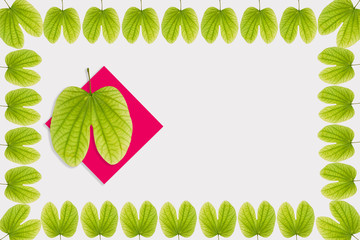 Dussehra greeting card using apta / Bauhinia racemosa