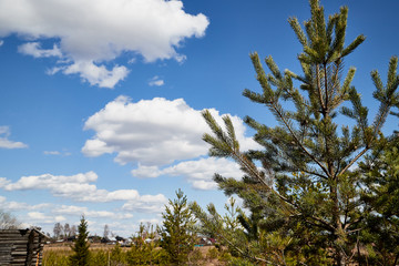 Beautiful blue sky with white clouds over field and village in a early spring day