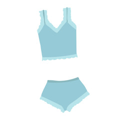 panties and bra on a white background