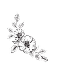 Flower sketch. Floral elements. A branch with a flower of wild rose. Corner layout. Hand drawn illustration, isolated on white